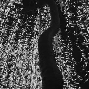 Meet your Posher, Ruby